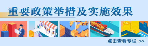 重要平台政策栏目举措及实施效果