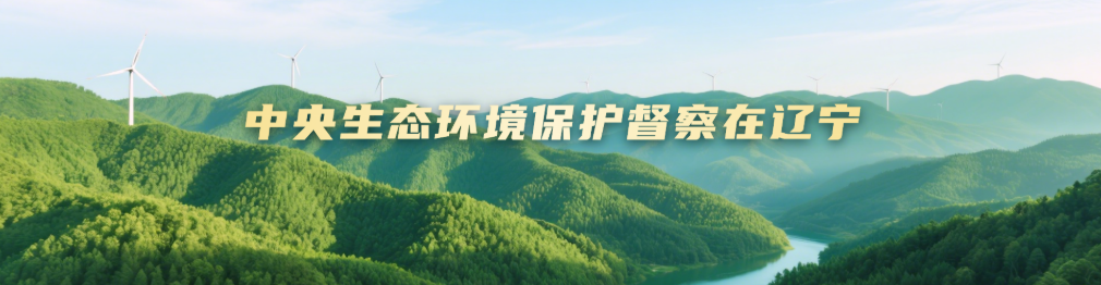 中央生态环境保护督察在辽宁